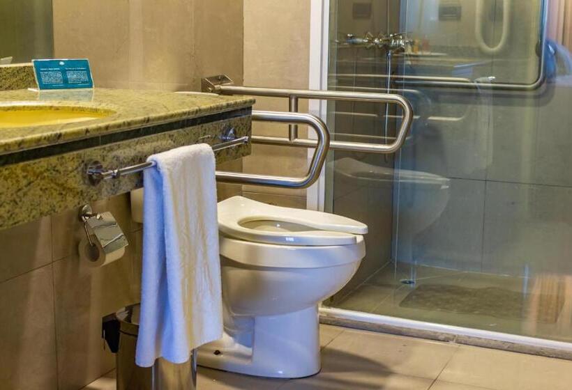 בית מלון כפרי Chagall