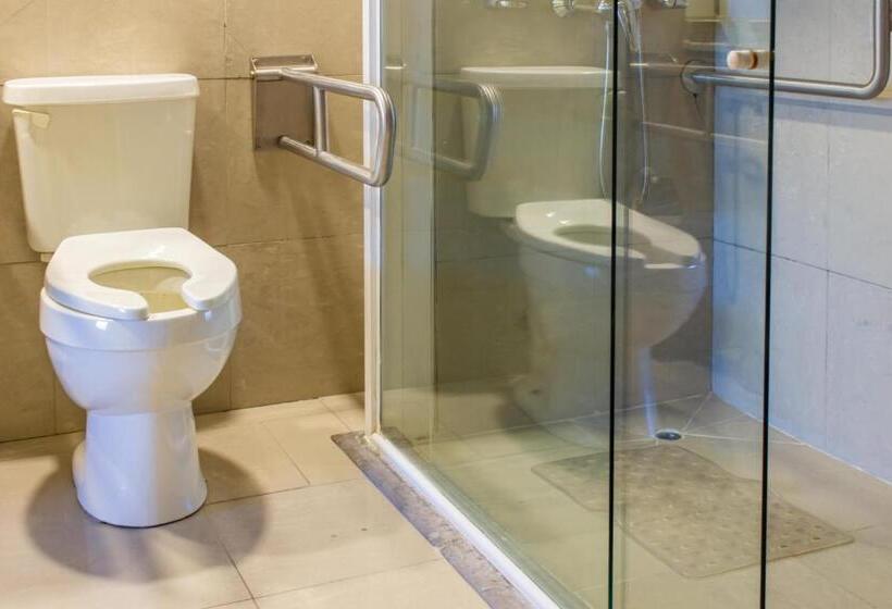 בית מלון כפרי Chagall