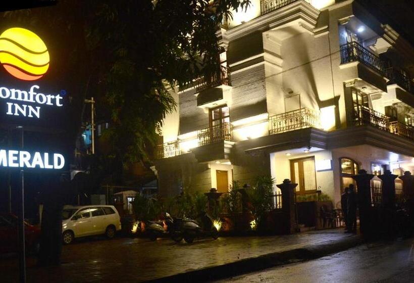 فندق Comfort Inn Emerald