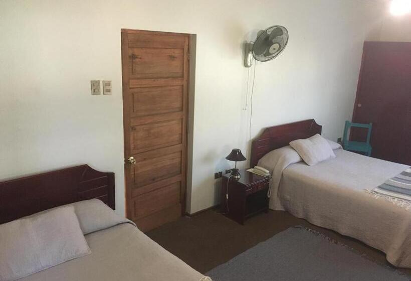 Отель De La Avenida