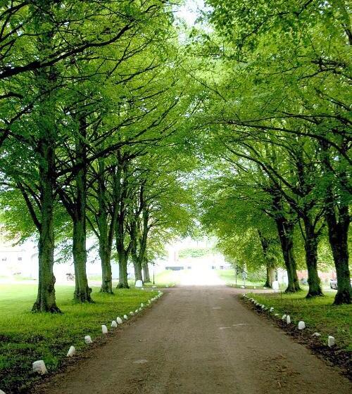 호텔 Dragsholm Slot