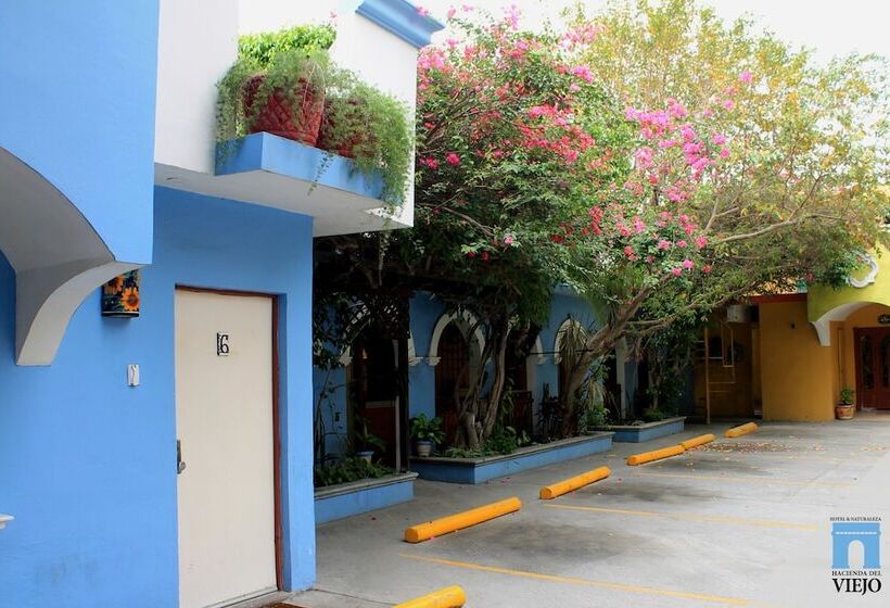 فندق Hacienda Del Viejo