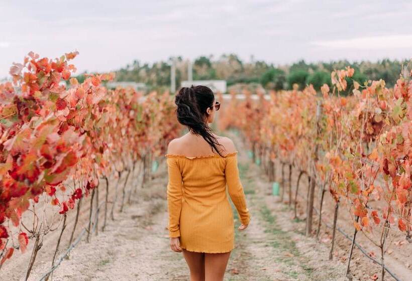 Отель Herdade Da Rocha Boutique Lodge