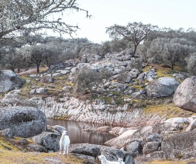 Отель Herdade Da Rocha Boutique Lodge