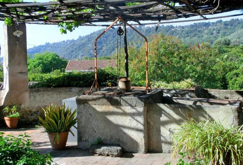 בית מלון כפרי Il Limoneto Acireale