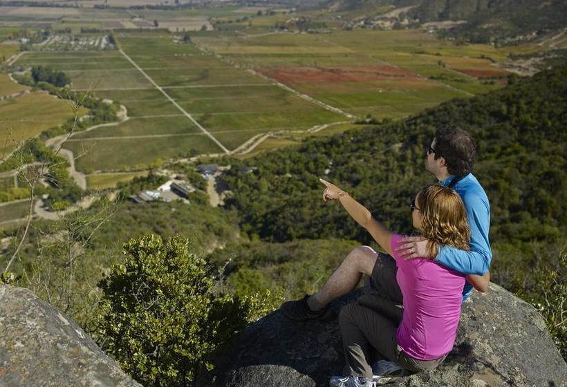 فندق Clos Apalta Residence Relais & Chateaux