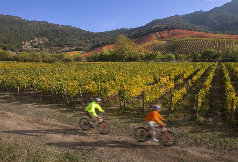 فندق Clos Apalta Residence Relais & Chateaux