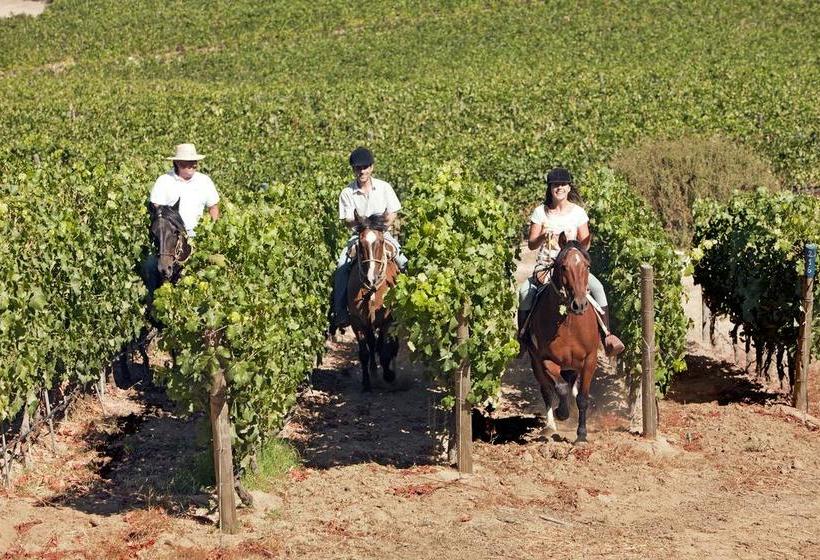 בית מלון כפרי Clos Apalta Residence Relais & Chateaux