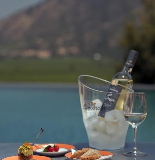 בית מלון כפרי Clos Apalta Residence Relais & Chateaux