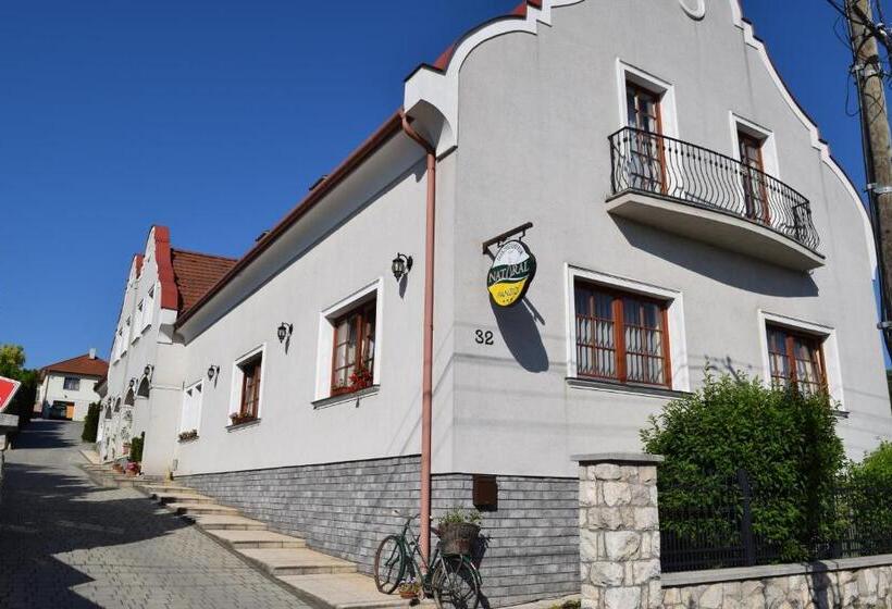 ホテル Natural Panzió