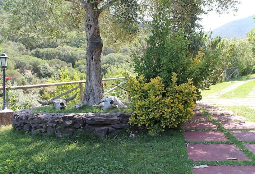 فندق Ostello Su Mannau