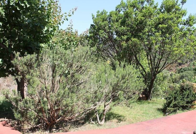 فندق Ostello Su Mannau