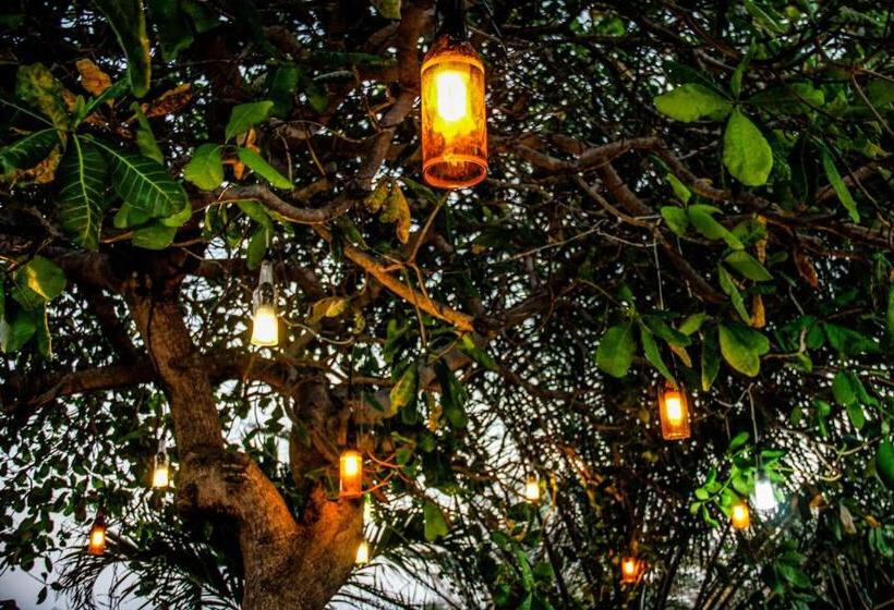 Отель Pousada Vila Do Mar