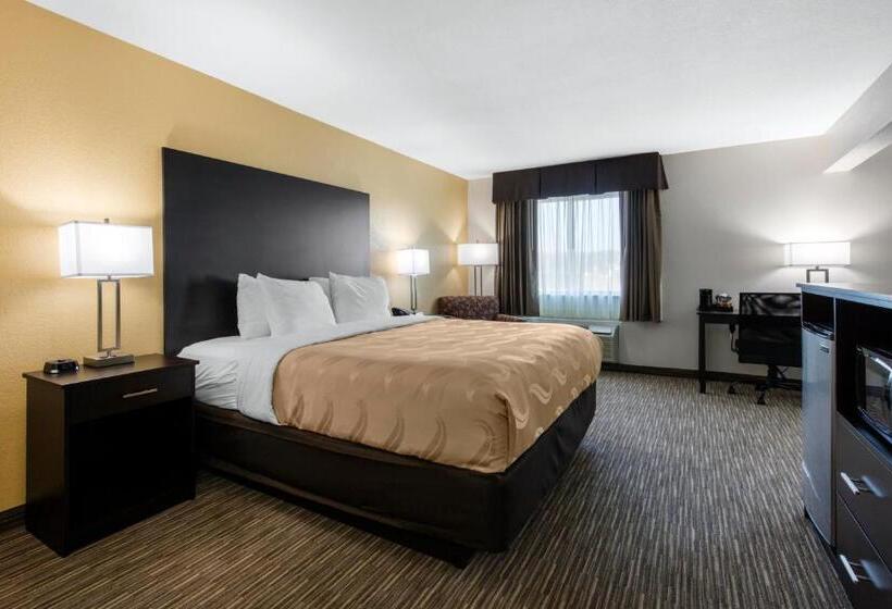 Отель Quality Inn & Suites Metropolis I24