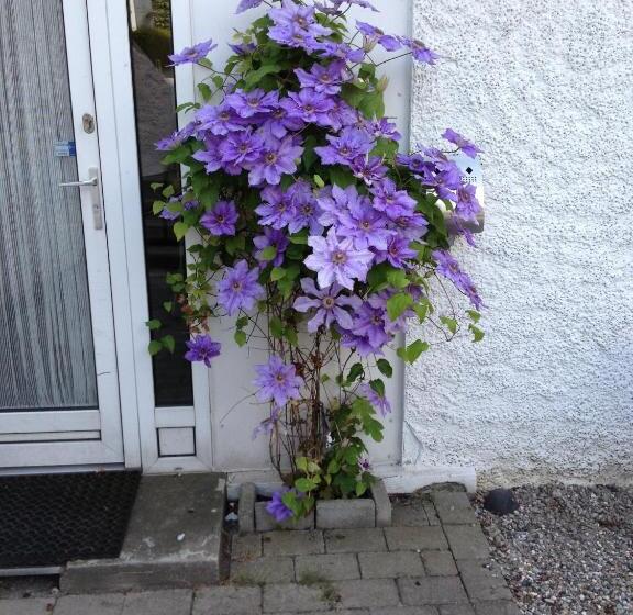 酒店 Sønderborg Garni