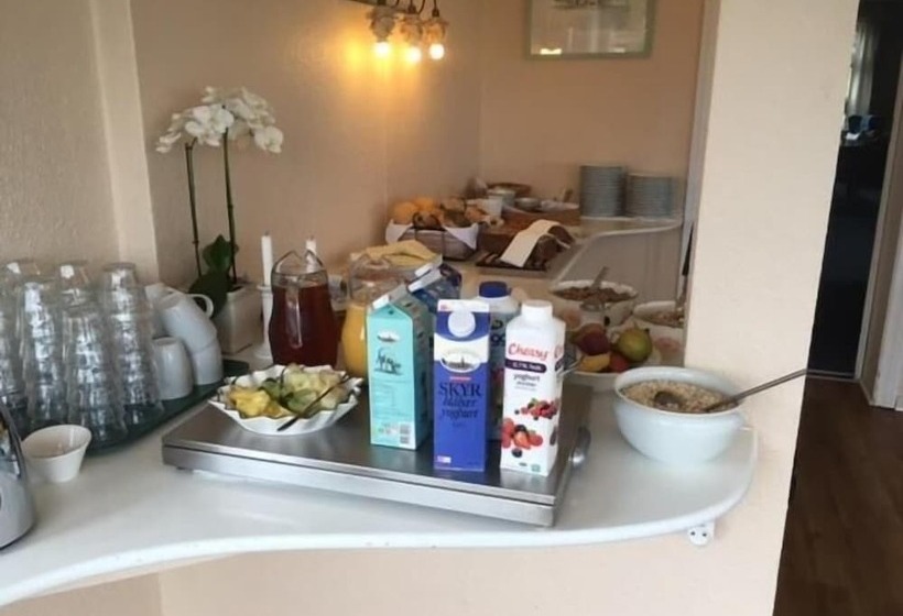 酒店 Sønderborg Garni