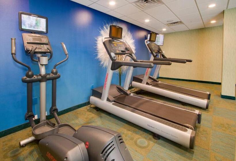 酒店 Springhill Suites By Marriott Orlando Lake Buena Vista South