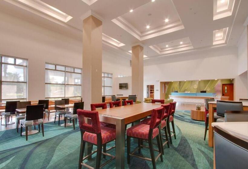 酒店 Springhill Suites By Marriott Orlando Lake Buena Vista South