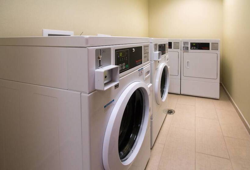 酒店 Springhill Suites By Marriott Orlando Lake Buena Vista South