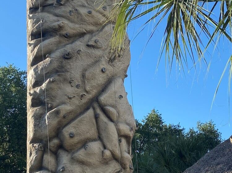 酒店 Springhill Suites By Marriott Orlando Lake Buena Vista South