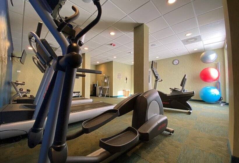 酒店 Springhill Suites By Marriott Orlando Lake Buena Vista South