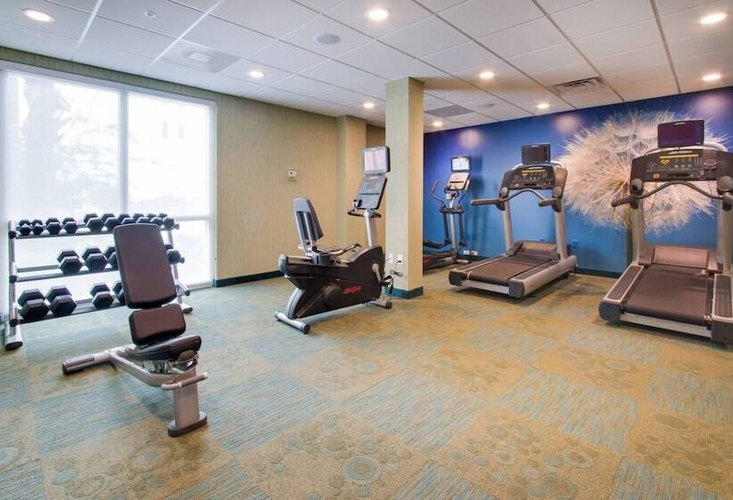 酒店 Springhill Suites By Marriott Orlando Lake Buena Vista South