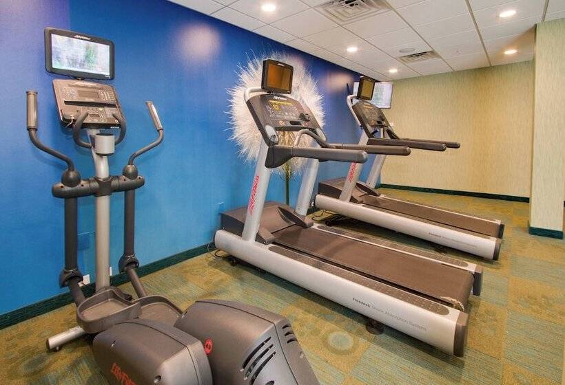 酒店 Springhill Suites By Marriott Orlando Lake Buena Vista South