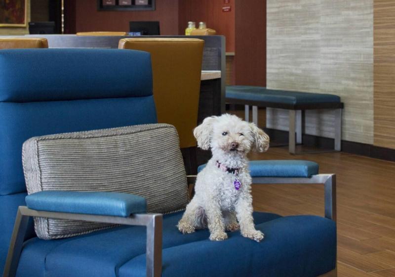 בית מלון כפרי Towneplace Suites By Marriott Austin Round Rock