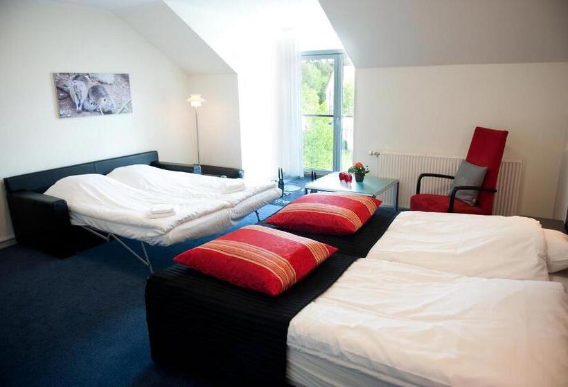 Vejlsøhus Hotel And Conference Center