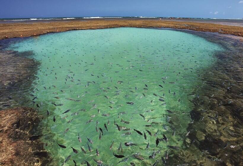בית מלון כפרי Vivenda Dos Arrecifes