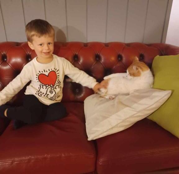 Klintholm B & B Bistro