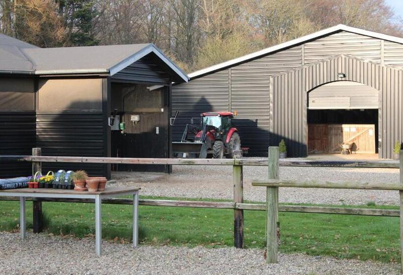Louiselund Bed & Breakfast