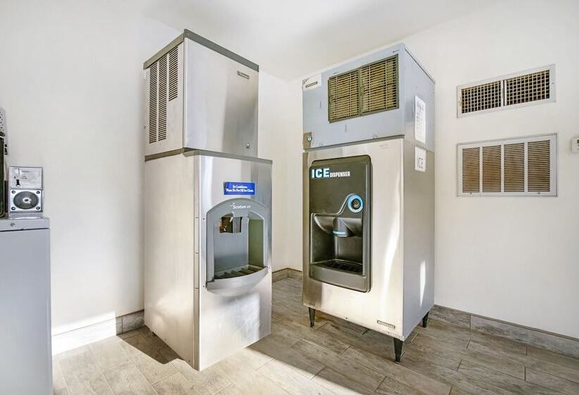 فندق على الطريق Super 8 By Wyndham Dunnigan