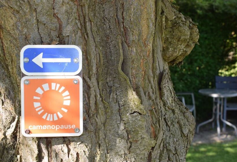 Nygammelsø Bed & Breakfast