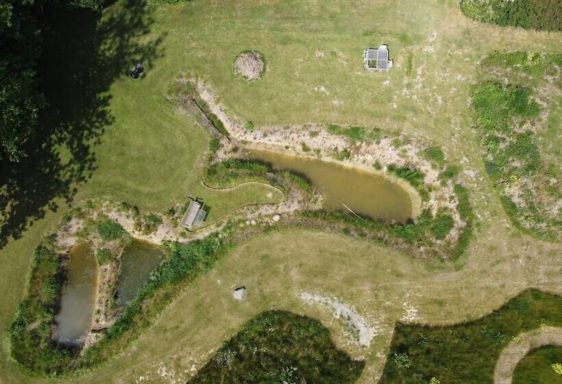 Nygammelsø Bed & Breakfast