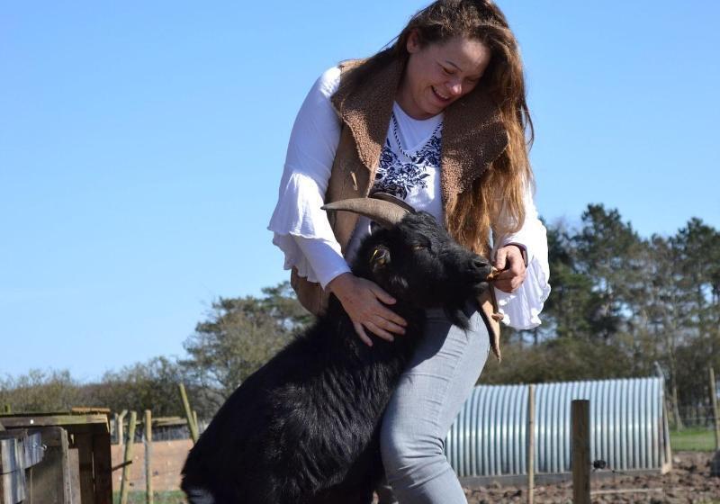 Bed and Breakfast Skortskær Bondegårdsferie