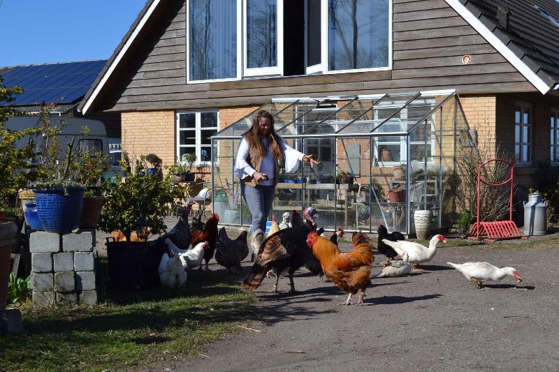 Bed and Breakfast Skortskær Bondegårdsferie