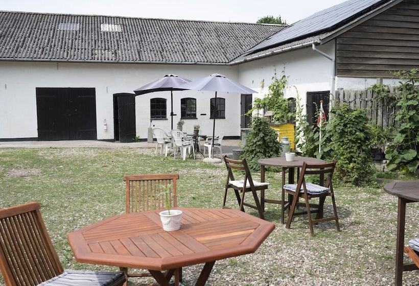 Bed and Breakfast Skortskær Bondegårdsferie