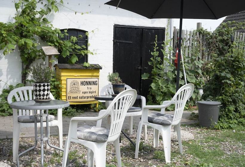 Bed and Breakfast Skortskær Bondegårdsferie