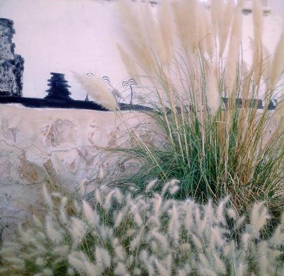 The Little B&b On The Hill