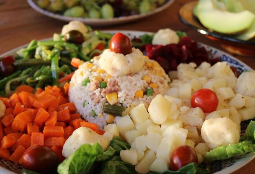 旅馆 Original Surf Morocco