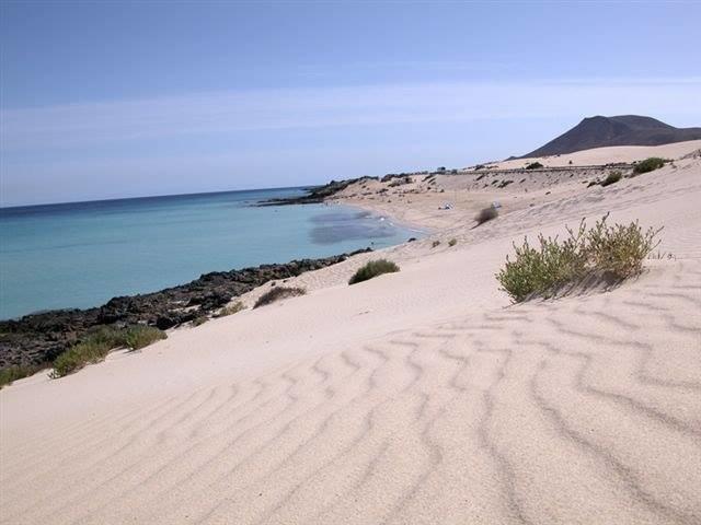 הוסטל Pura Vida Corralejo