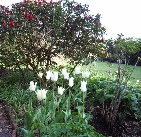 민박 Bank House B And B