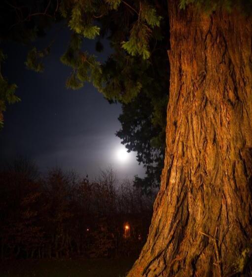 Bed and Breakfast Kilmichael House