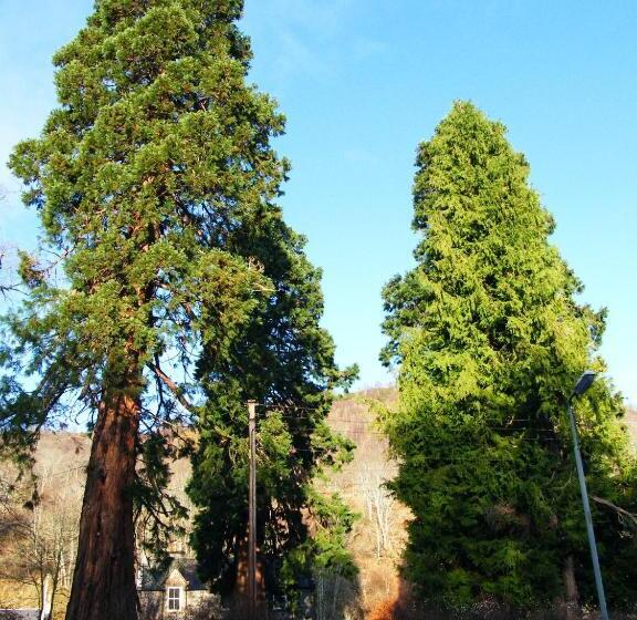 Bed and Breakfast Kilmichael House