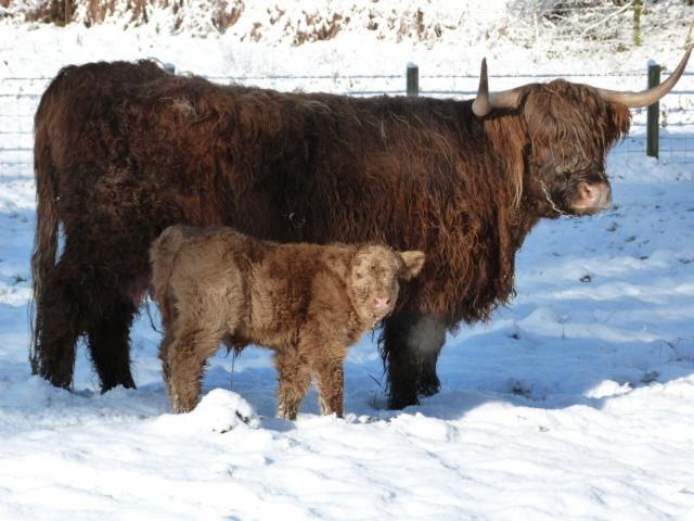 Bed and Breakfast Kilmichael House