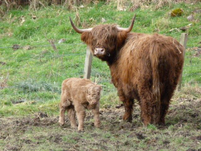 Bed and Breakfast Kilmichael House