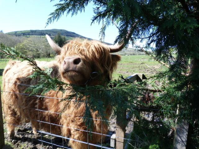 Bed and Breakfast Kilmichael House