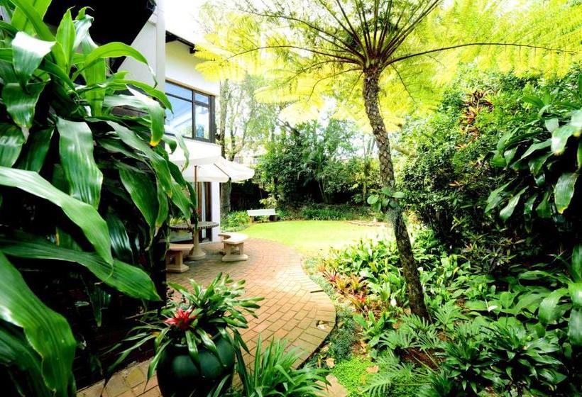 Oliveroom Self Catering And B&b