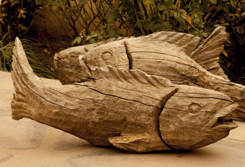 مبيت وإفطار The Ibis Lounge